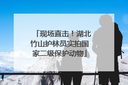 现场直击！湖北竹山护林员实拍国家二级保护动物