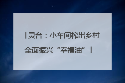 灵台：小车间榨出乡村全面振兴“幸福油”
