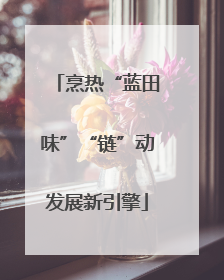 烹热“蓝田味”“链”动发展新引擎