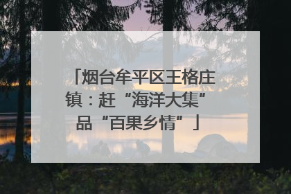 烟台牟平区王格庄镇：赶“海洋大集” 品“百果乡情”