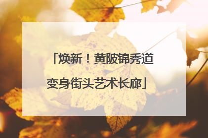 焕新！黄陂锦秀道变身街头艺术长廊