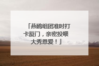 燕鸥组团准时打卡厦门，亲密投喂大秀恩爱！