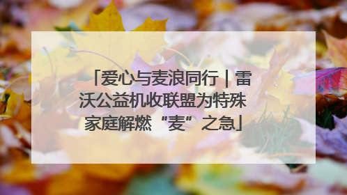 爱心与麦浪同行｜雷沃公益机收联盟为特殊家庭解燃“麦”之急