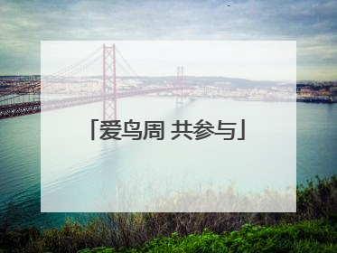 爱鸟周 共参与