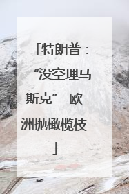 特朗普：“没空理马斯克” 欧洲抛橄榄枝