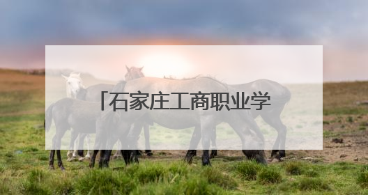 石家庄工商职业学院：传统技艺进校园焕发青春活力