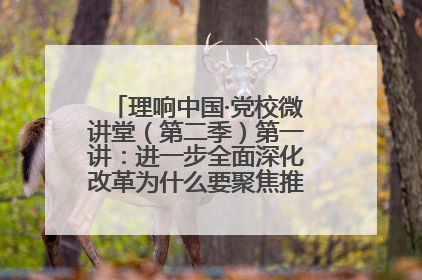 理响中国·党校微讲堂（第二季）第一讲：进一步全面深化改革为什么要聚焦推进中国式现代化