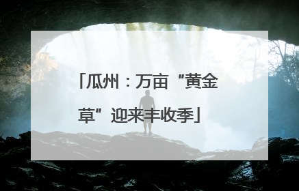 瓜州：万亩“黄金草”迎来丰收季
