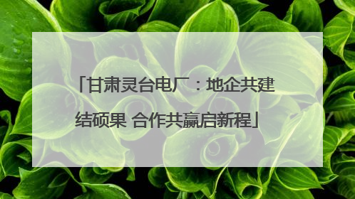 甘肃灵台电厂：地企共建结硕果 合作共赢启新程