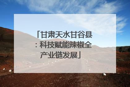 甘肃天水甘谷县：科技赋能辣椒全产业链发展