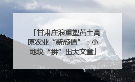 甘肃庄浪重塑黄土高原农业“新颜值”：小地块“拼”出大文章