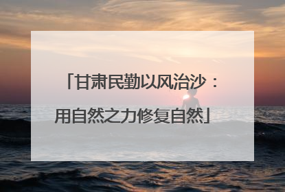 甘肃民勤以风治沙：用自然之力修复自然