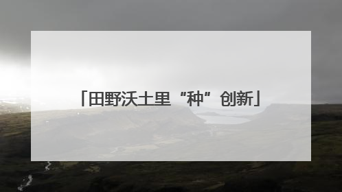 田野沃土里“种”创新