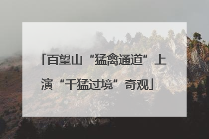 百望山“猛禽通道”上演“千猛过境”奇观