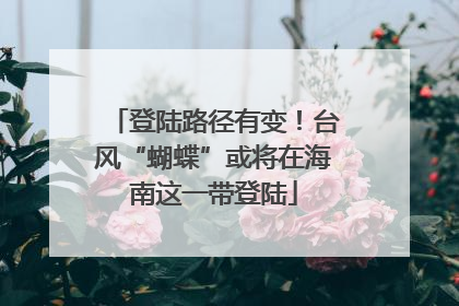 登陆路径有变！台风“蝴蝶”或将在海南这一带登陆