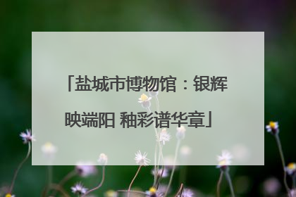 盐城市博物馆：银辉映端阳 釉彩谱华章