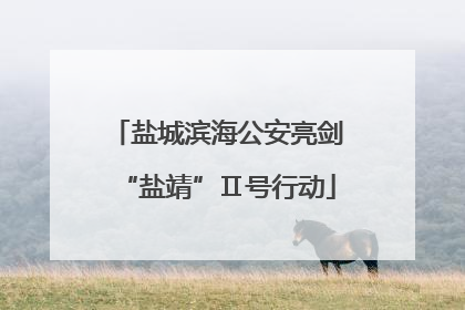 盐城滨海公安亮剑“盐靖”Ⅱ号行动