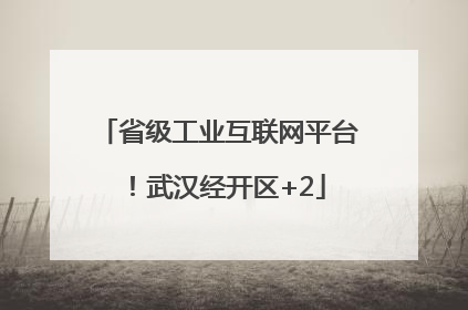 省级工业互联网平台！武汉经开区+2
