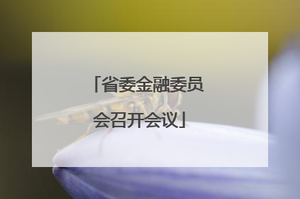 省委金融委员会召开会议