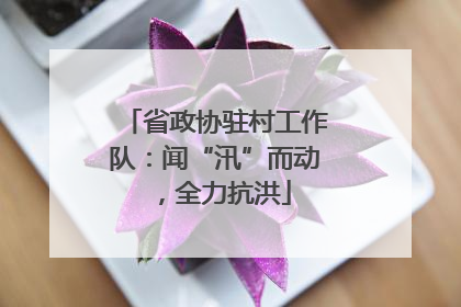 省政协驻村工作队：闻“汛”而动，全力抗洪