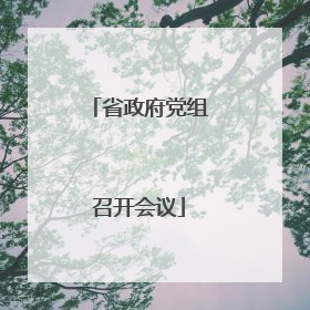 省政府党组召开会议