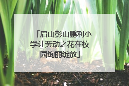 眉山彭山鹏利小学让劳动之花在校园绚丽绽放