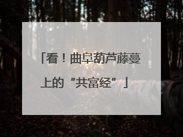 看！曲阜葫芦藤蔓上的“共富经”