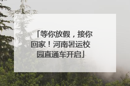 等你放假，接你回家！河南暑运校园直通车开启