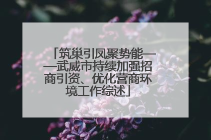 筑巢引凤聚势能——武威市持续加强招商引资、优化营商环境工作综述