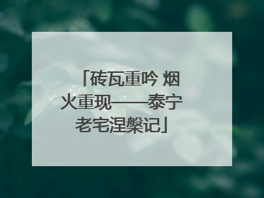 砖瓦重吟 烟火重现——泰宁老宅涅槃记
