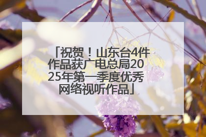 祝贺！山东台4件作品获广电总局2025年第一季度优秀网络视听作品