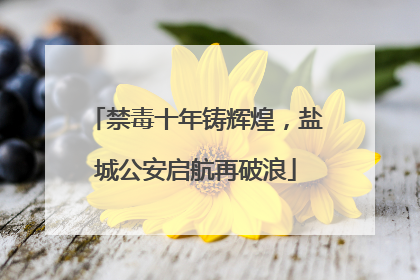 禁毒十年铸辉煌，盐城公安启航再破浪