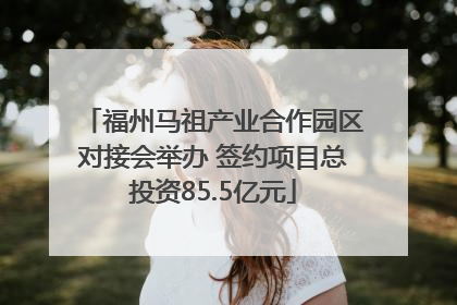 福州马祖产业合作园区对接会举办 签约项目总投资85.5亿元
