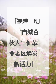 福建三明：“青城合伙人”促革命老区焕发新活力