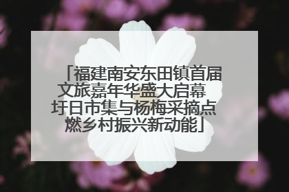 福建南安东田镇首届文旅嘉年华盛大启幕 圩日市集与杨梅采摘点燃乡村振兴新动能