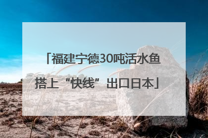 福建宁德30吨活水鱼搭上“快线”出口日本