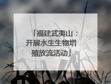 福建武夷山：开展水生生物增殖放流活动