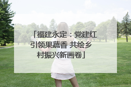 福建永定：党建红引领果蔬香 共绘乡村振兴新画卷
