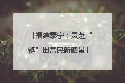 福建泰宁：灵芝“链”出富民新图景
