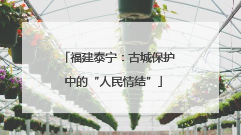 福建泰宁：古城保护中的“人民情结”