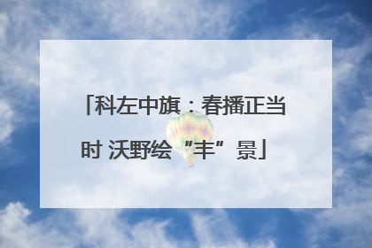 科左中旗：春播正当时 沃野绘“丰”景