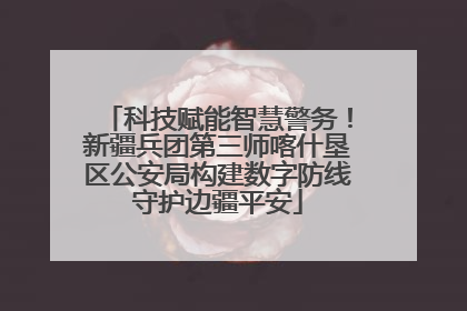 科技赋能智慧警务！新疆兵团第三师喀什垦区公安局构建数字防线守护边疆平安