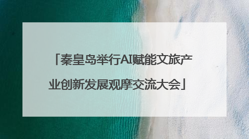 秦皇岛举行AI赋能文旅产业创新发展观摩交流大会