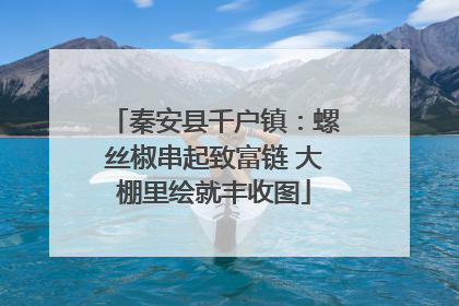 秦安县千户镇：螺丝椒串起致富链 大棚里绘就丰收图