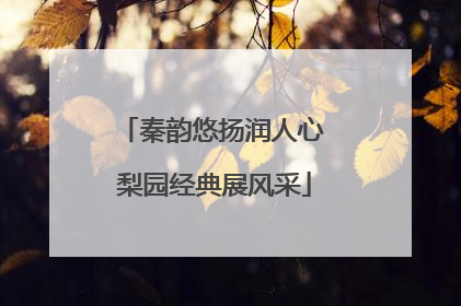 秦韵悠扬润人心 梨园经典展风采
