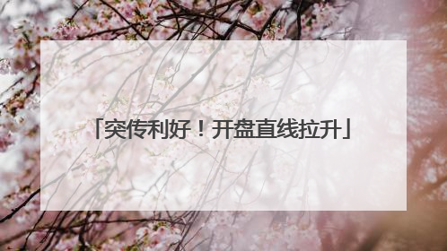 突传利好！开盘直线拉升