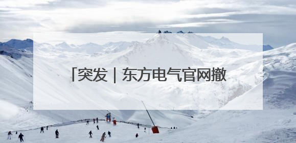 突发｜东方电气官网撤下董事长俞培根信息