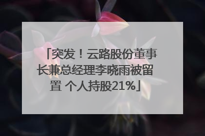 突发！云路股份董事长兼总经理李晓雨被留置 个人持股21%