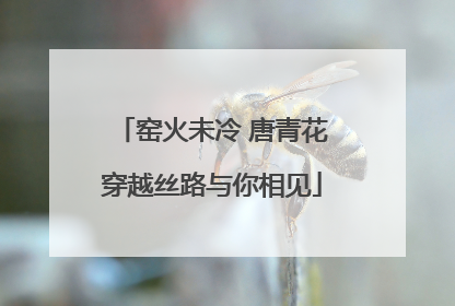 窑火未冷 唐青花穿越丝路与你相见