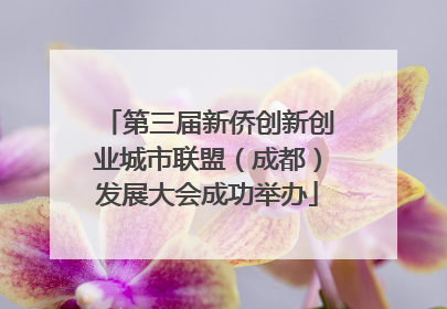 第三届新侨创新创业城市联盟（成都）发展大会成功举办